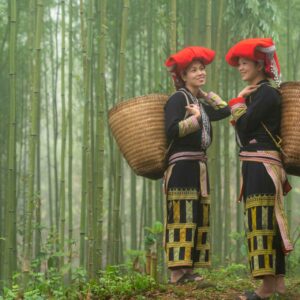 Women in Bamboo Forest