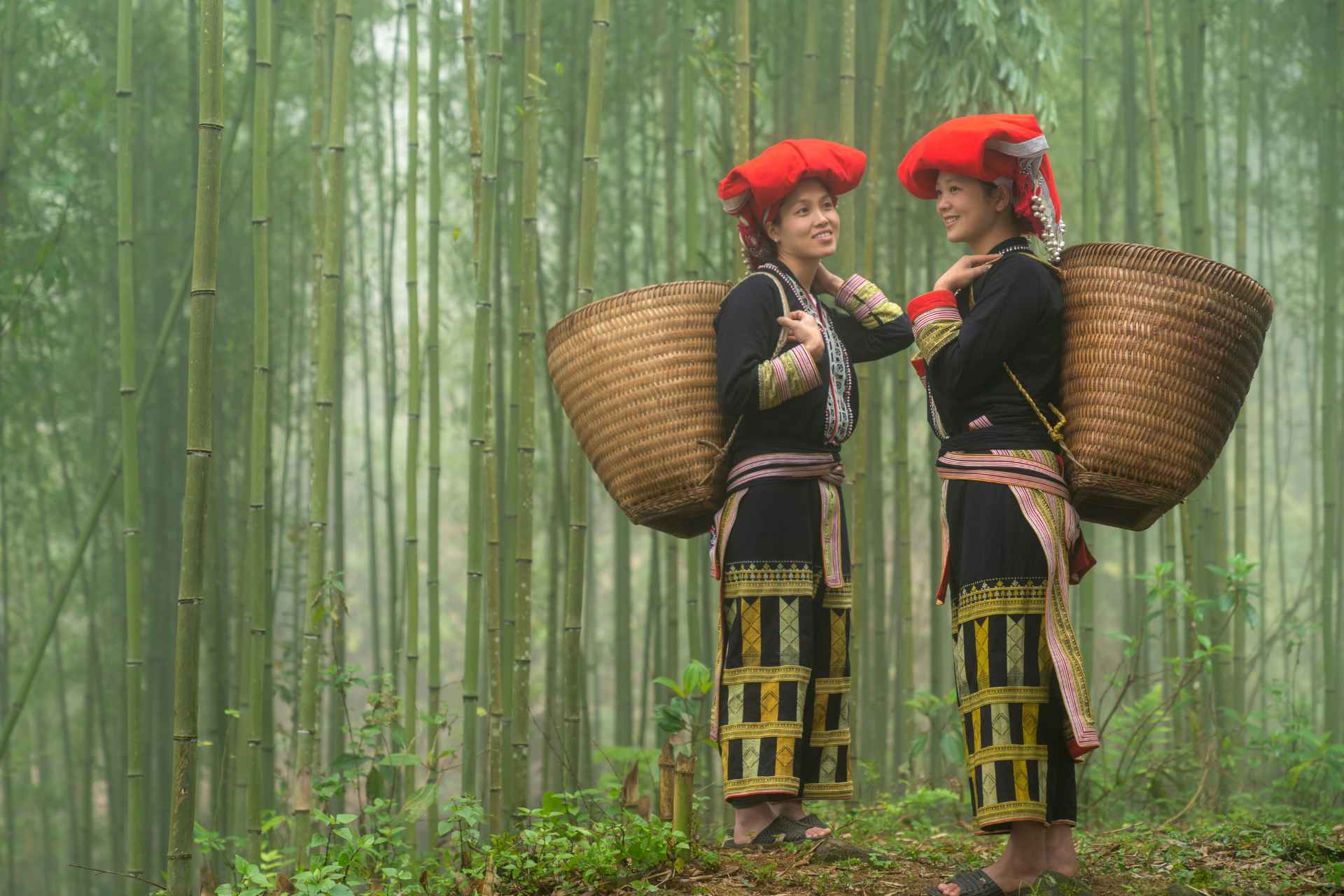 Women in Bamboo Forest