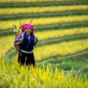 Mountain Farming