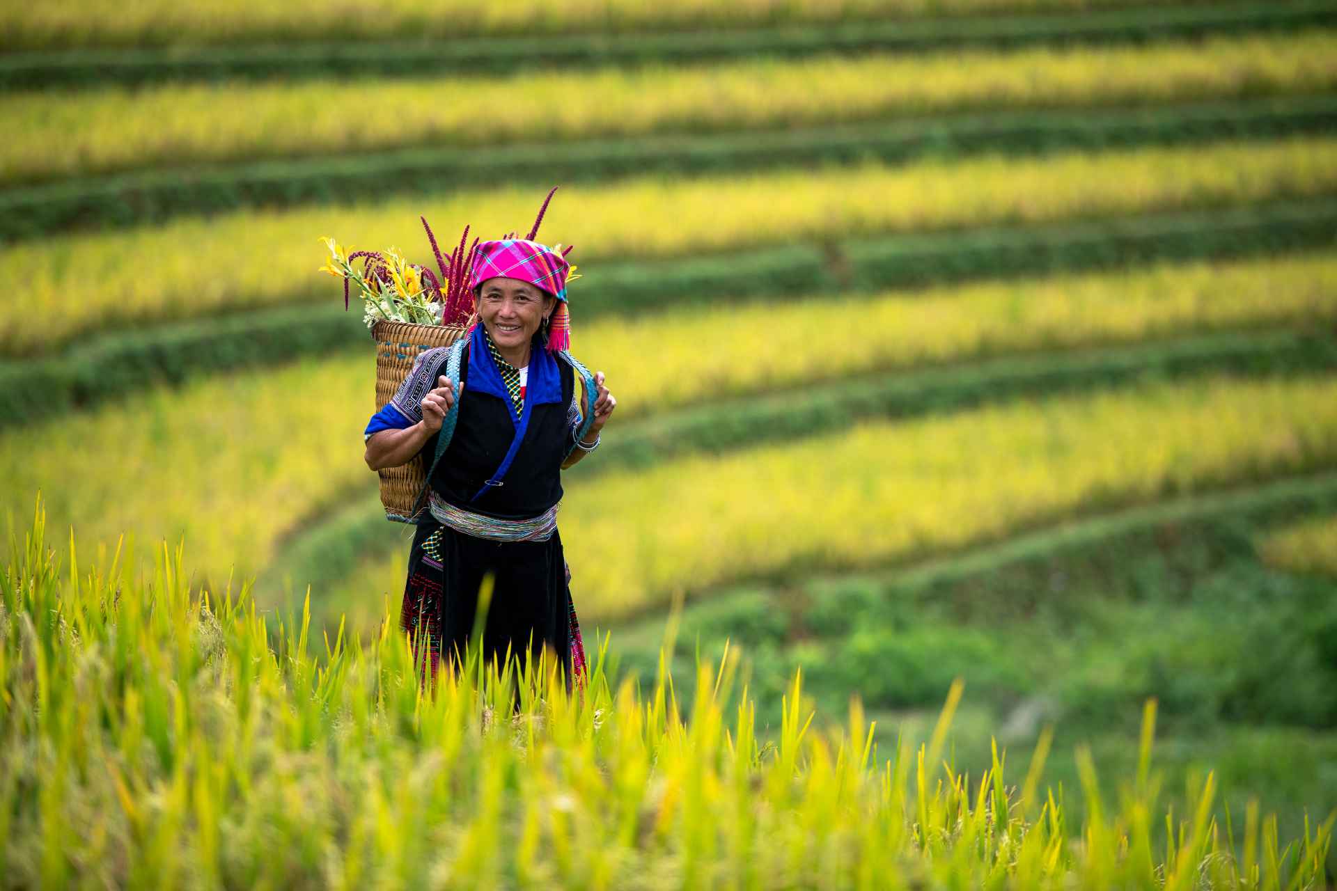 Mountain Farming